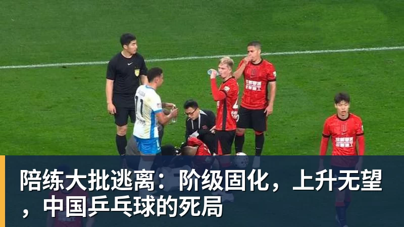 陪练大批逃离：阶级固化，上升无望，中国乒乓球的死局